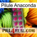 Anaconda Pill 09